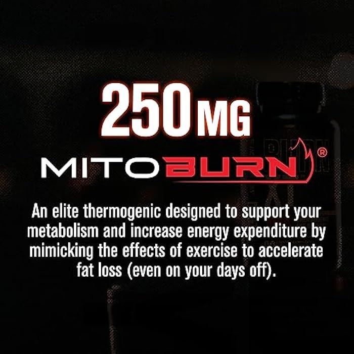 Jacked Factory Burn-XT Max - High-Performance Thermogenic Fat Burner & Appetite Suppressant for Weight Loss w/PurCaf Organic Caffeine, MitoBurn, Green Tea, Acetyl L Carnitine & More - 90 Capsules - Image 2