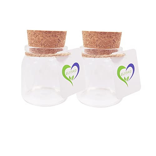 ELYSAID 2pcs Empty Clear Glass Bottles Vials With Cork Stopper Storage Jars 47mm Bottle Diameter (47x50x33mm 50ml) - Image 2
