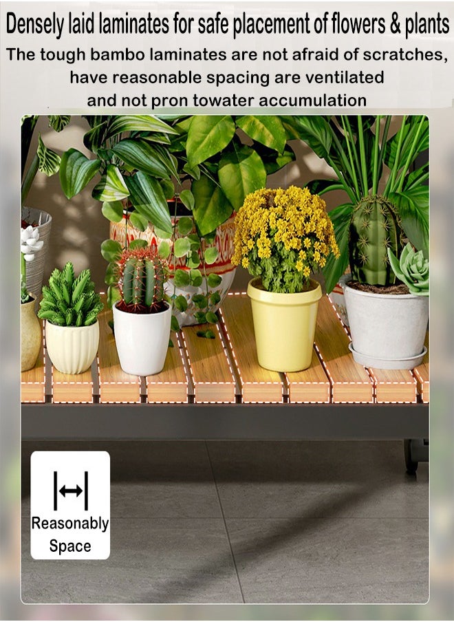 ZCM-HAPPY Four layer Indoor Floor Standing Ladder Flower and Plant Rack 120x40x115 CM  - Image 4