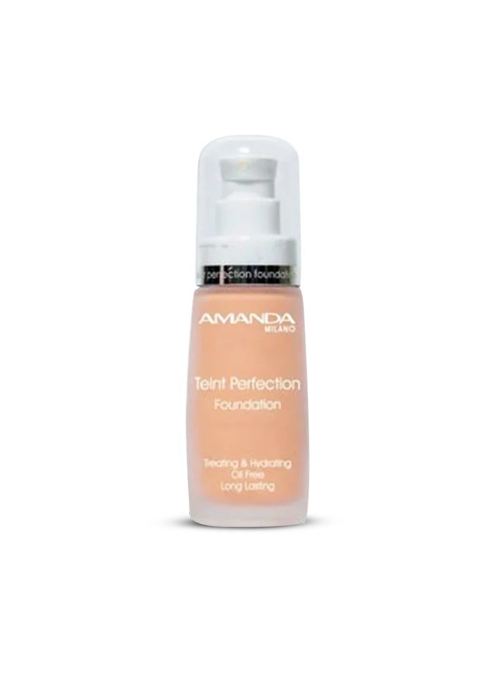 Amanda Milano Teint Perfection Foundation No 17  - Image 1