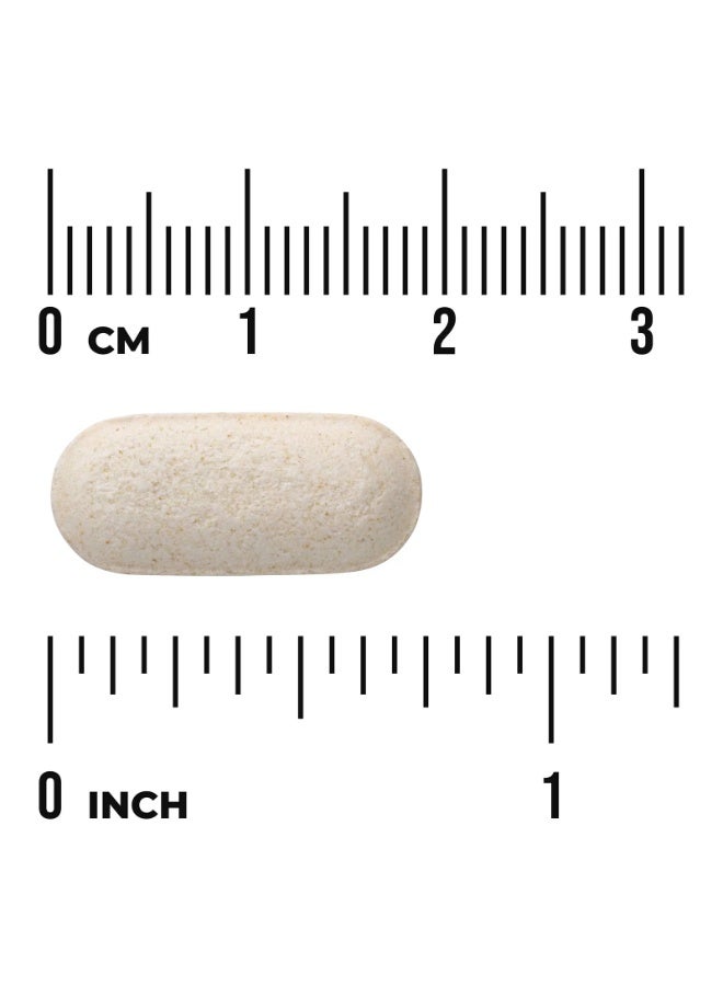 SWANSON LipoSan Ultra® Chitosan, 240 Caplets (500 mg Per caplet) - Image 2