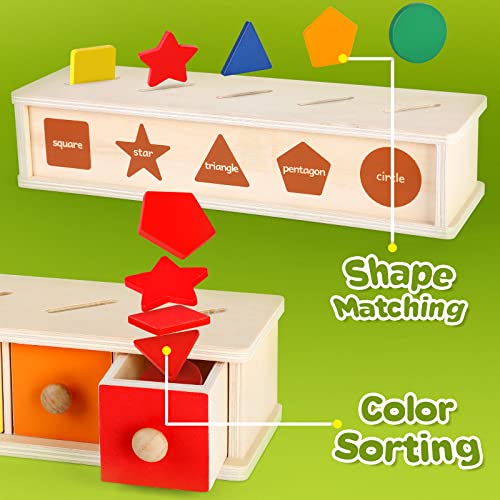 Aizweb Color Shape Sorting Toy for Toddler 3 Year Old Wooden Montessori Toy Shape Sorter Color Matching Box Game Early Educational Learning Sensory Toy for Baby Boy Girl - Image 5