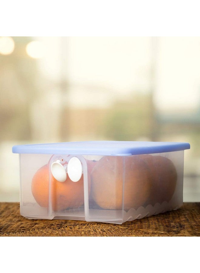 Tupperware Plastic Fruits And Vegetables Storer - 1.6 Litre, 2 Pieces, Blue - Image 3