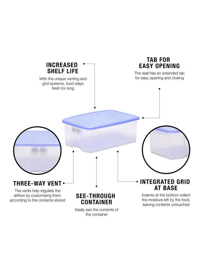 Tupperware Plastic Fruits And Vegetables Storer - 1.6 Litre, 2 Pieces, Blue - Image 4