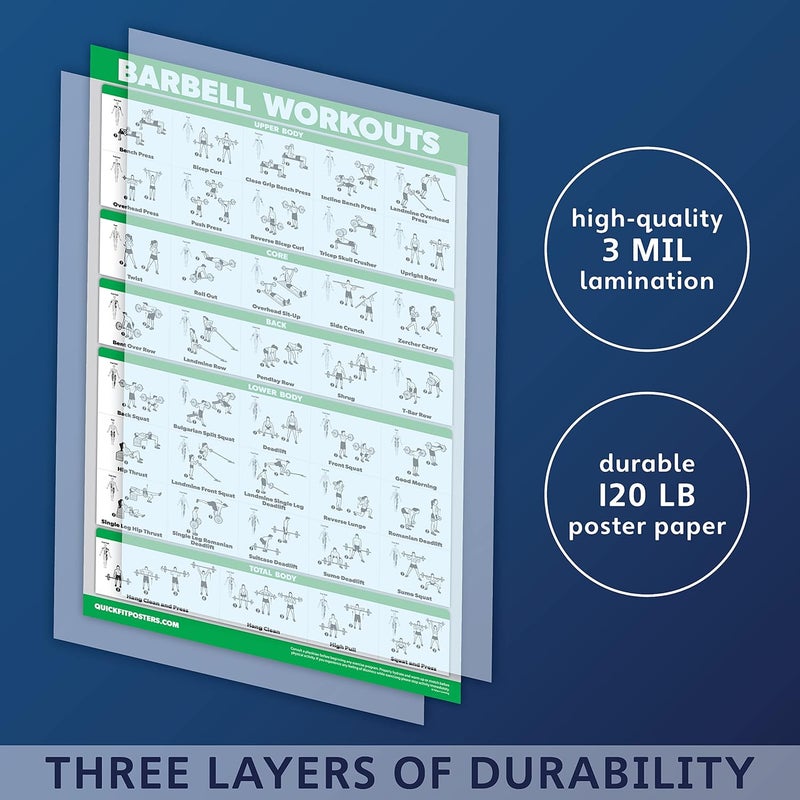Palace Learning QUICKFIT Barbell Workout Exercise Poster – (Laminated, 18" x 24") - Image 2