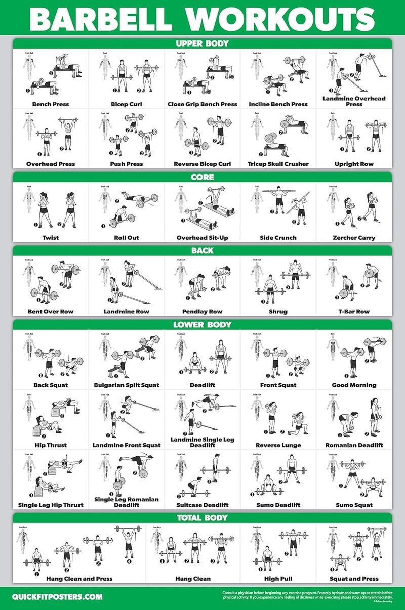 Palace Learning QUICKFIT Barbell Workout Exercise Poster – (Laminated, 18" x 24") - Image 1