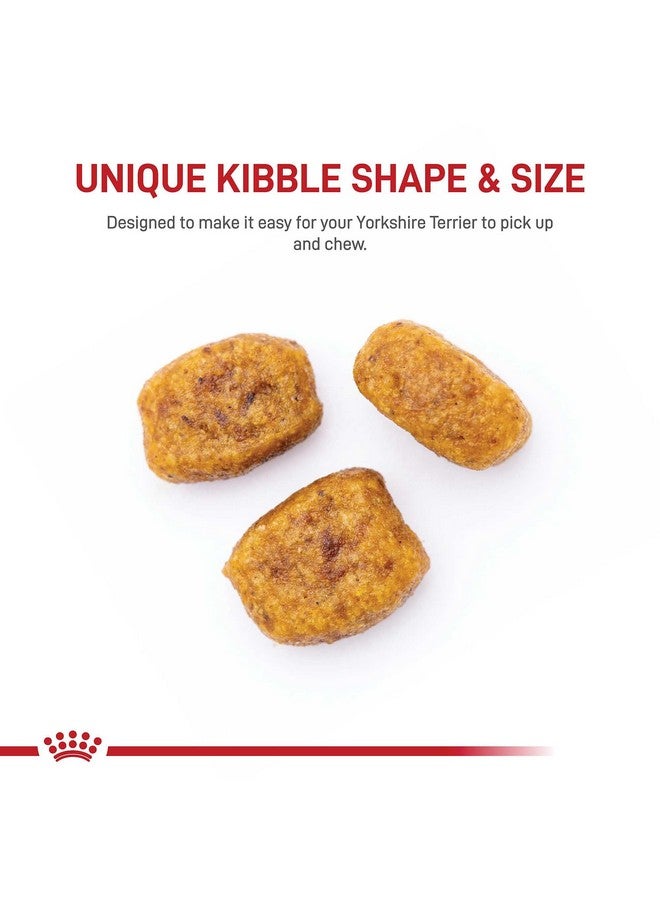 رويال كانين طعام جاف للكلاب البالغة من رويال كانين يوركشاير تيرير، كيس 2.5 رطل - Image 2