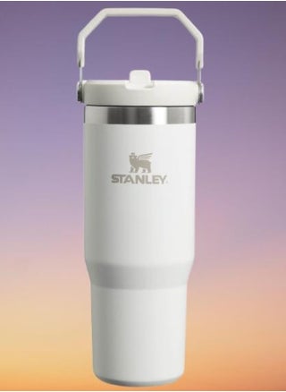 IceFlow Flip Straw Water Bottle 0.88L – Stainless Steel Travel Mug with Leakproof Flip Straw, Keeps Drinks Cold for 12+ Hours, BPA-Free, Dishwasher Safe, Easy to Carry, Frost Finish - pzsku/Z6E2FA1AF4C30F7E02CE0Z/45/_/1738588532/e31241c0-32a4-4647-a4d1-efbfcab1db0a