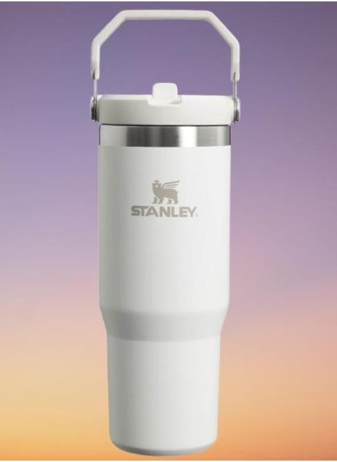 IceFlow Flip Straw Water Bottle 0.88L – Stainless Steel Travel Mug with Leakproof Flip Straw, Keeps Drinks Cold for 12+ Hours, BPA-Free, Dishwasher Safe, Easy to Carry, Frost Finish