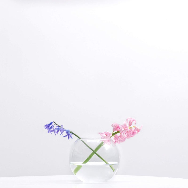 WGVI Wgv Bowl Glass Vase  Diameter 6""  Height 4.5""  Open Width 4""  (Multiple Sizes Choices) Clear Bubble Planter Terrarium Fish Bowl For Wedding Event Home Decor  1 Piece (Vbw0006A) - Image 4
