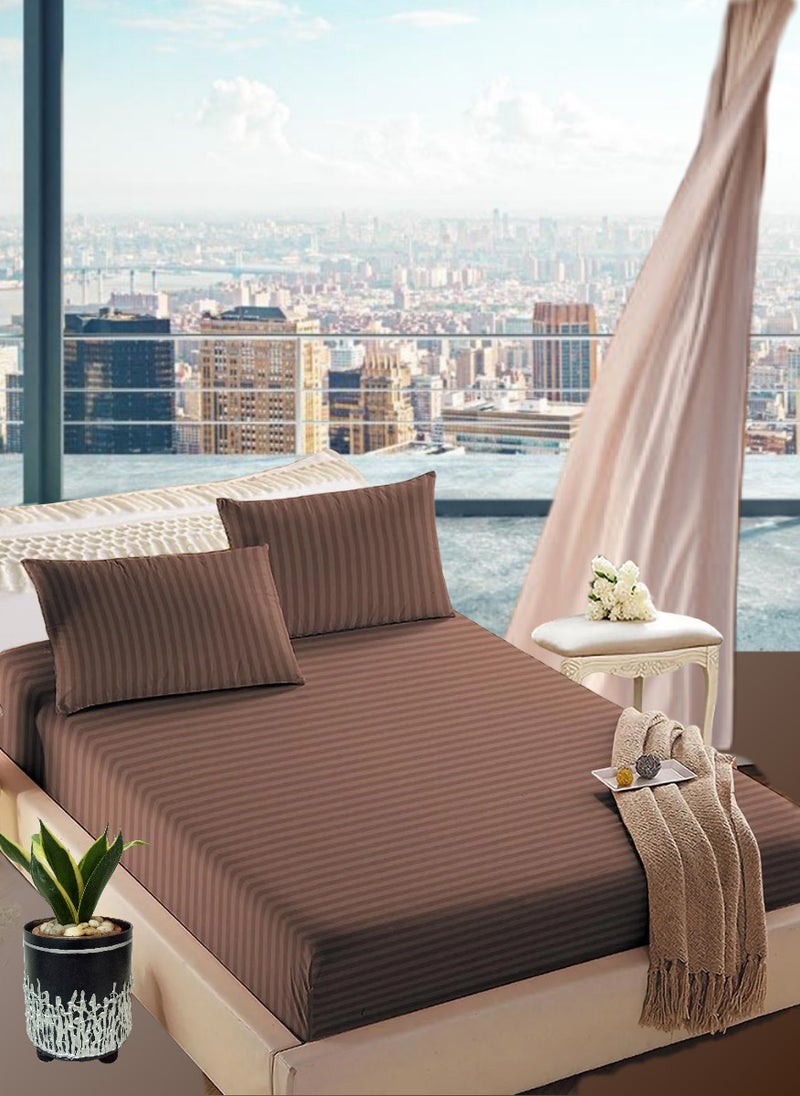 Blueberry Pastel Brown Striped Cotton 3 Piece Set Deep PocketBed Sheet Sets 200x200+20cm - Image 1