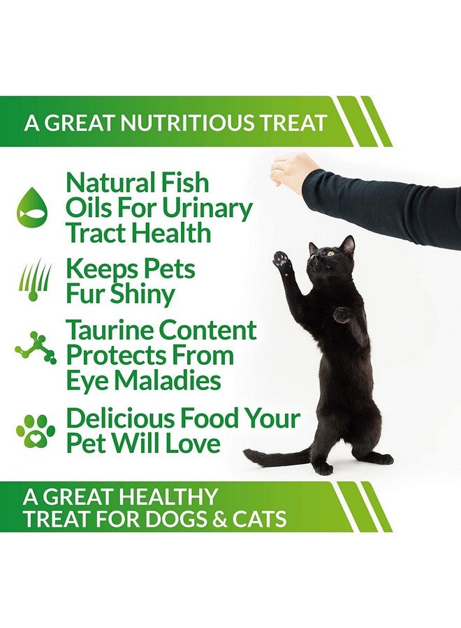 كات-مان-دو رقائق بونيتو مجففة كبيرة جدًا من كات مان دو للكلاب والقطط - رقائق بروتين طبيعية بالكامل - كيس 4 أونصة (عبوة من قطعتين) - Image 4