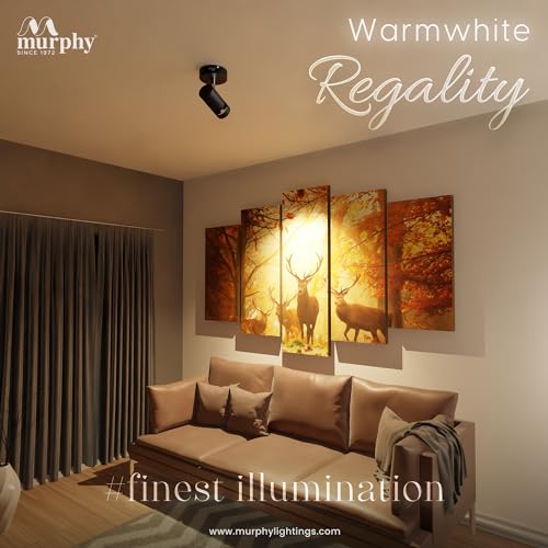 Murphy Aluminium 10W Adjustable Black Aliminum Led Wall Cob Surface Mounted Spot Light With 2 Years Warranty (Warm White, Pack Of 1) - Image 2