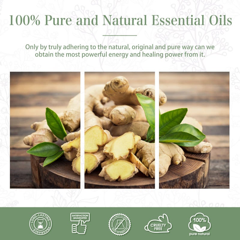 PHATOIL Ginger 3.38fl.oz Essential Oil, PHATOIL Pure Aromatherapy Oils for Diffuser, Humidifier, Perfect for DIY Soap, Candle, Bath Bombs Making(100ml) - Image 2