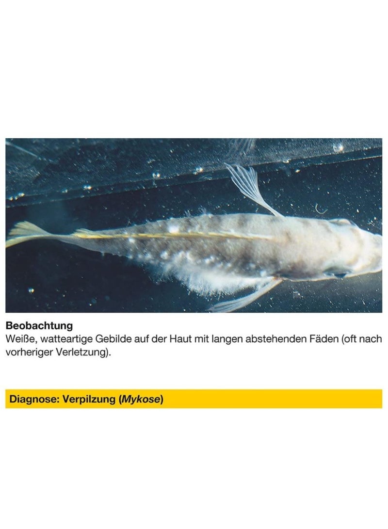 Sera Mycopur - 50ml - Fish Aquarium - Image 2