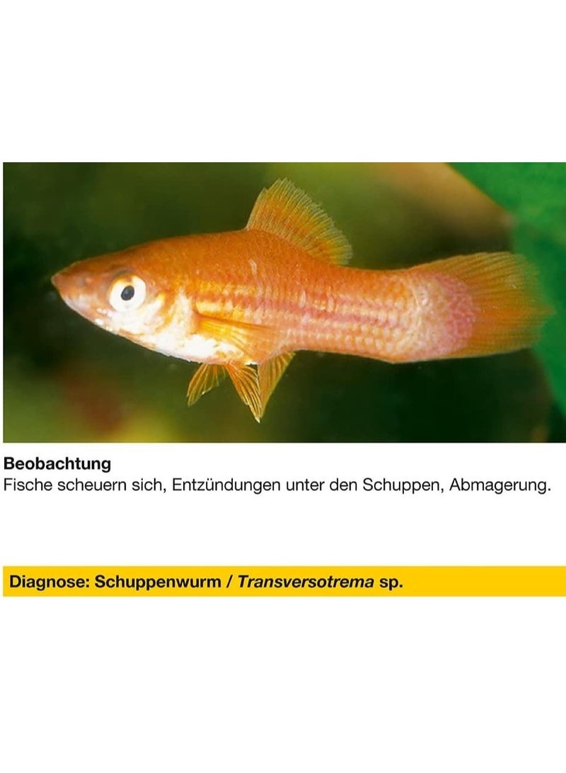 Sera Mycopur - 50ml - Fish Aquarium - Image 3