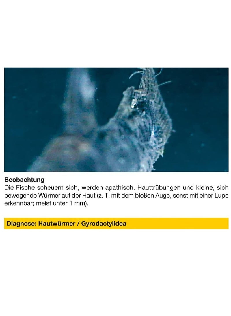 Sera Mycopur - 50ml - Fish Aquarium - Image 5