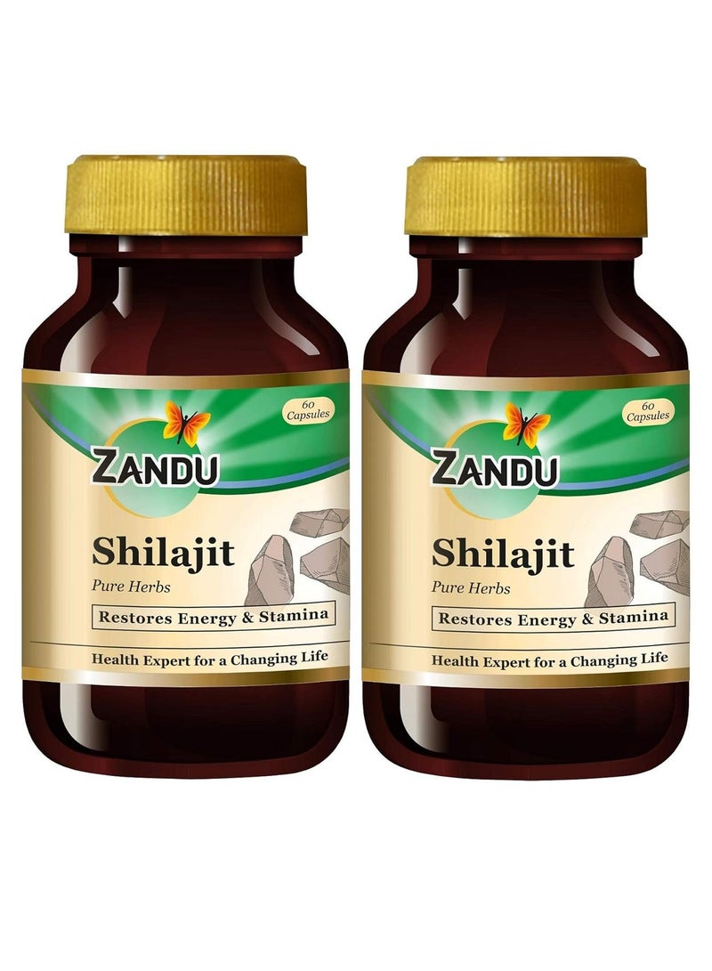 Zandu Shilajit Capsule 60 capsules Original and Pure Himalayan Shilajeet Boosts Immunity Strength and Stamina - Image 1