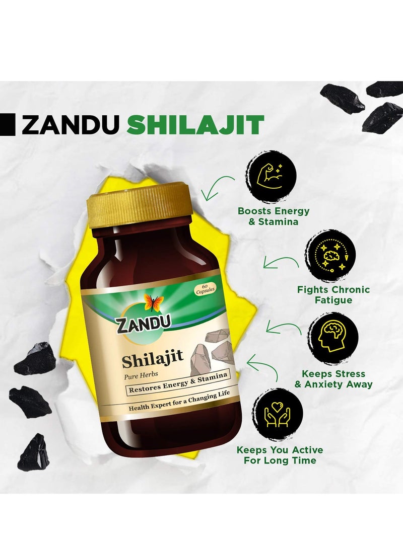 Zandu Shilajit Capsule 60 capsules Original and Pure Himalayan Shilajeet Boosts Immunity Strength and Stamina - Image 3