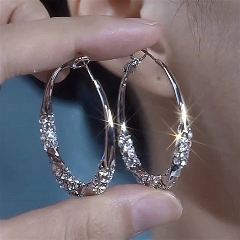 2025 New High-end Sense Niche Fashion Ear Ring Silver Needle Simple Light Luxury Large Circle Earrings Women's Earrings - Image 2