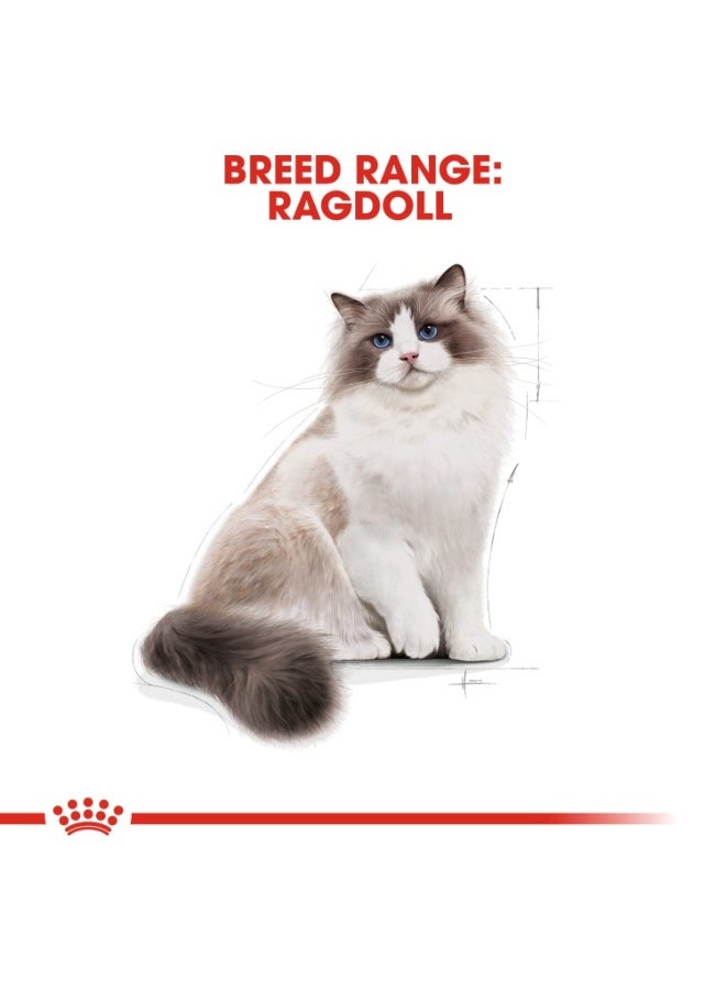 ROYAL CANIN Feline Breed Nutrition Ragdoll Adult 2 KG - Image 2