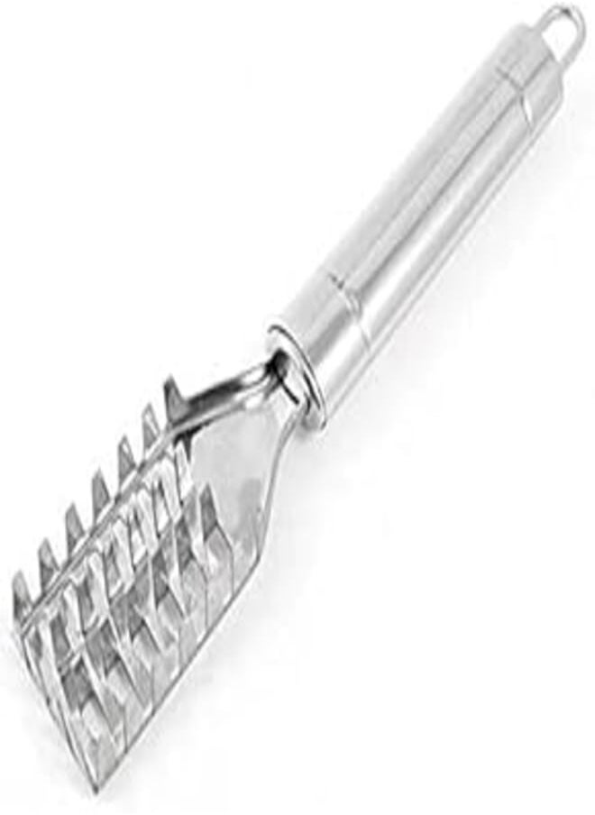 Pass Pass pass pass Stainless Steel Fish Scale Remover Cleaner Fish Scaler (Pack of-1) 