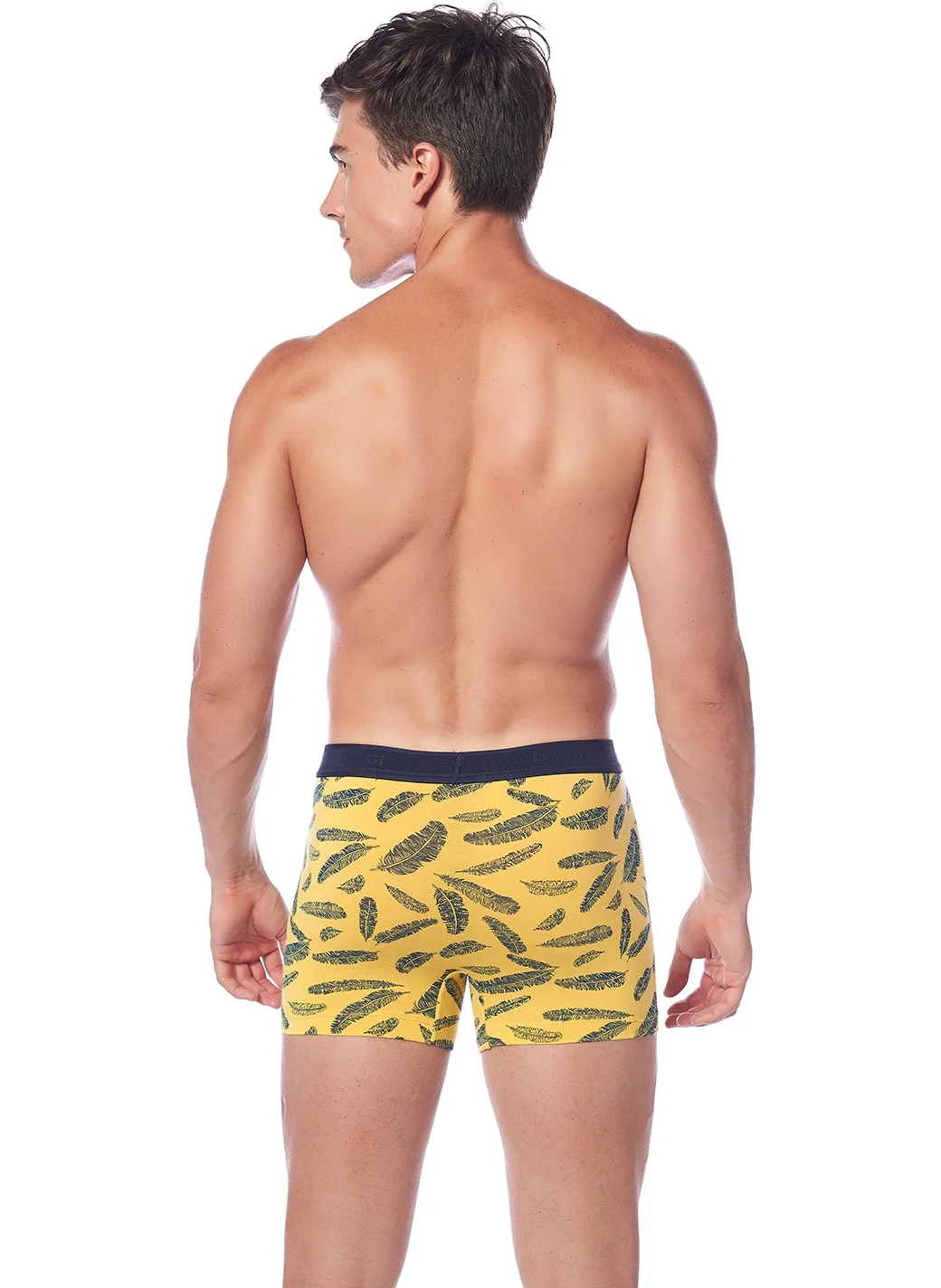 داجي Yellow-Navy Blue Compact Leaf Patterned Boxer