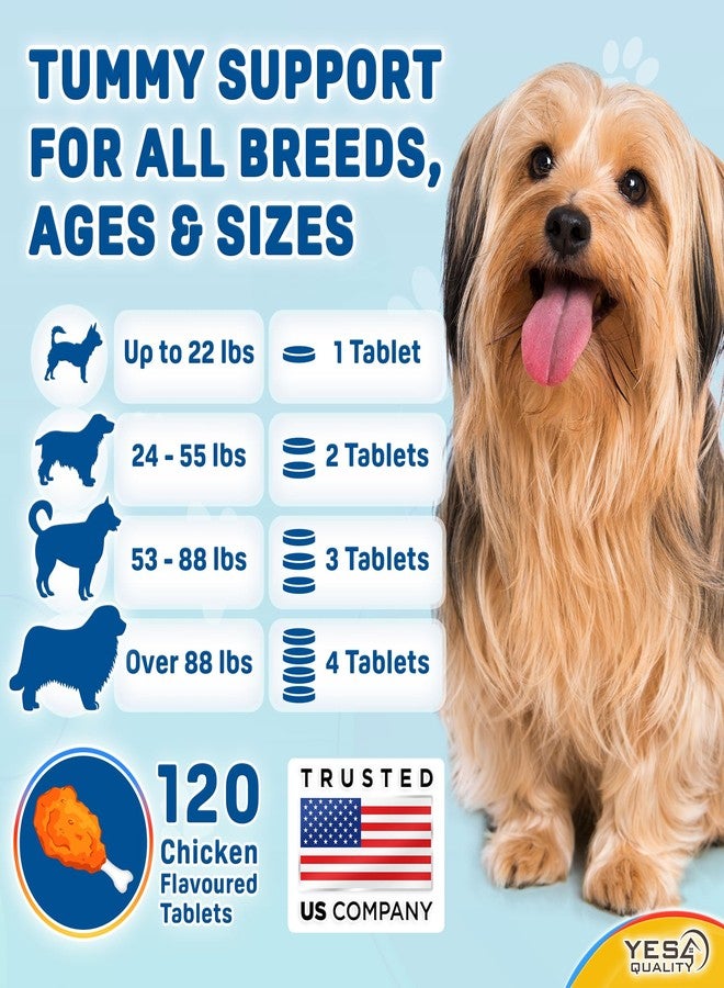 يس فور كواليتي بروبيوتيك للكلاب - أقراص بروبيوتيك وبريبيوتيك قابلة للمضغ للكلاب - قد تدعم المناعة، والجهاز الهضمي، وصحة الأمعاء، وتخفف الإسهال، والانتفاخ، واضطراب المعدة - 120 قرص بنكهة الدجاج - Image 5