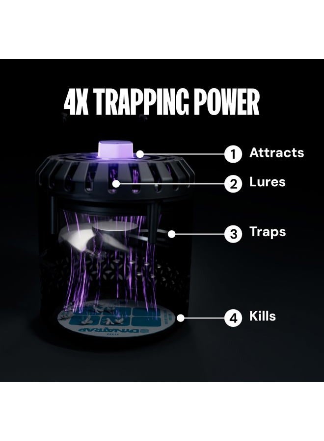 DYNATRAP DT152 Indoor Fly & Insect Trap – Catches and Kills Flies, Fruit Flies, Gnats, Moths, Mosquitoes & Other Flying Insects - Image 2
