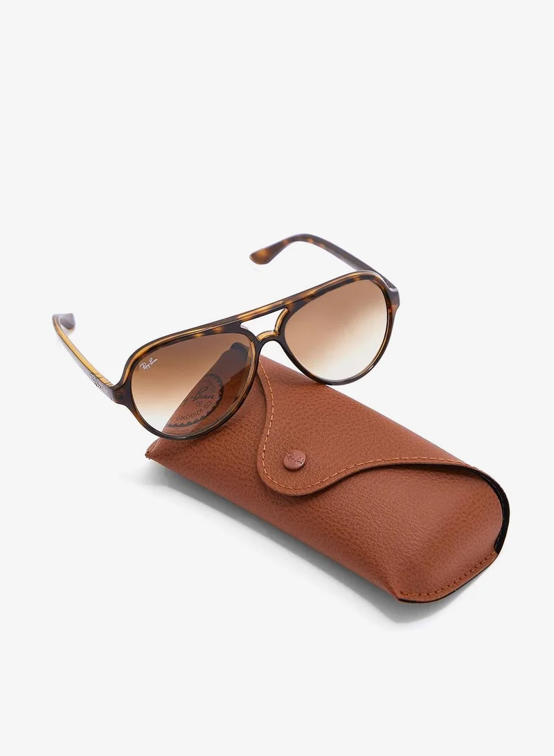 Ray-ban  0Rb4125 Aviator Sunglasses  | Best Price UAE