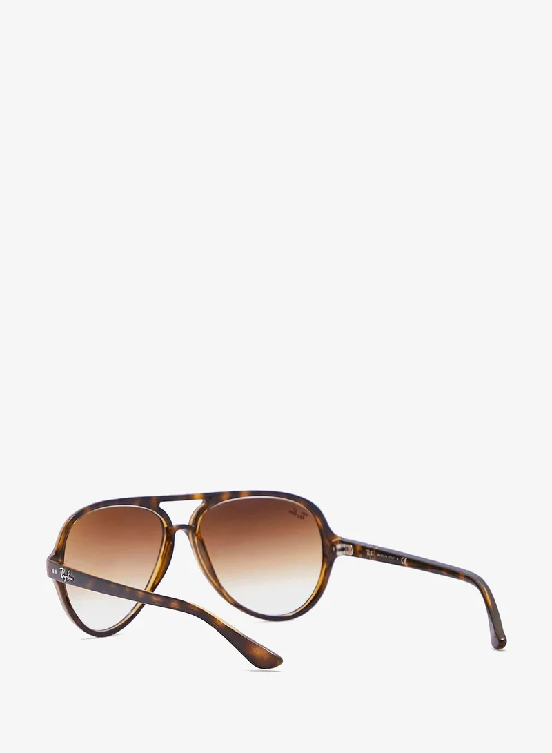 Ray-Ban 0Rb4125 Aviator Sunglasses
