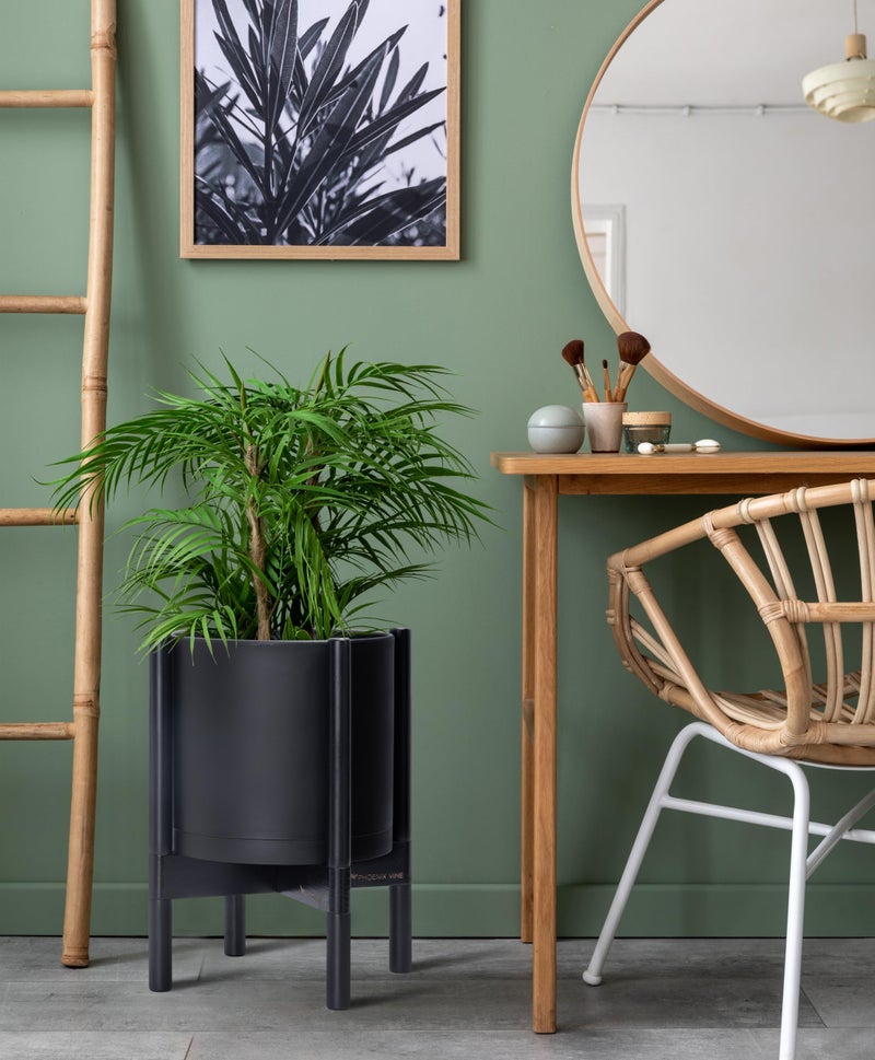 D'vine Dev Planter Pot with Stand - 10 Inch Plastic Cylinder Flower Pot with Wood Planter Holder for Indoor, Matte Black Pot + Ebony Stand, 55-C-N-2 - Image 4