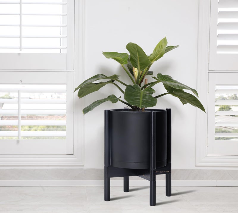D'vine Dev Planter Pot with Stand - 10 Inch Plastic Cylinder Flower Pot with Wood Planter Holder for Indoor, Matte Black Pot + Ebony Stand, 55-C-N-2 - Image 2