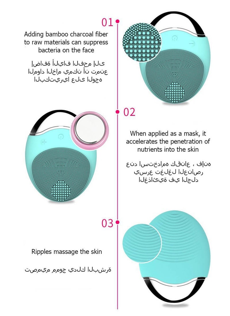 Electric Facial Cleansing Brush Face Massager