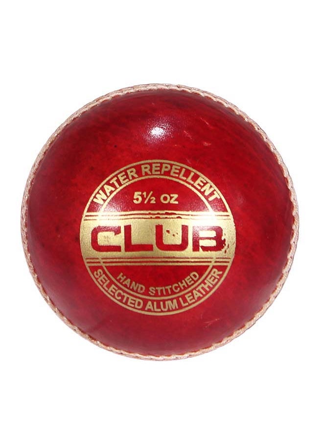 Cricket Ball - Club - pzsku/Z6E458DEED0A737F8E989Z/45/_/1708345102/6ac382d2-35ff-430e-b2de-9aee149b5adc