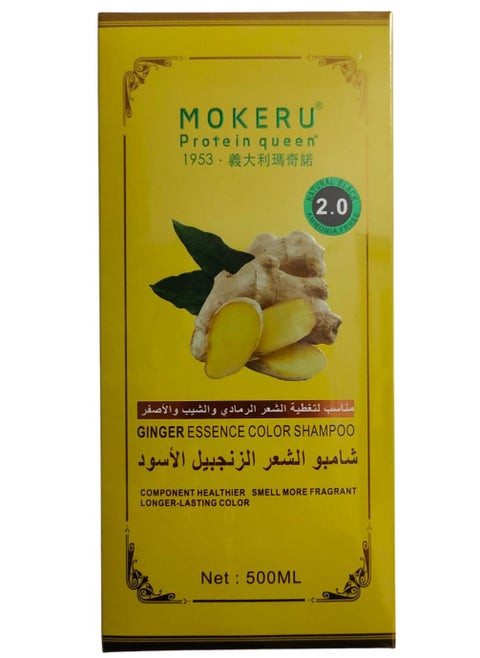 Ginger Essence Color Shampoo 500 ml  - Natural Black 2.0