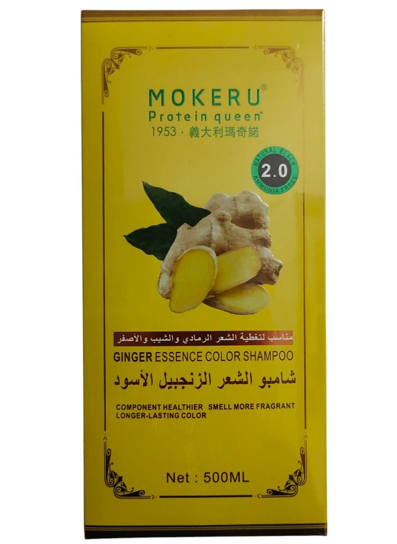 MOKERU - Ginger Essence Color Shampoo 500 ml  - Natural Black 2.0 - Image 1