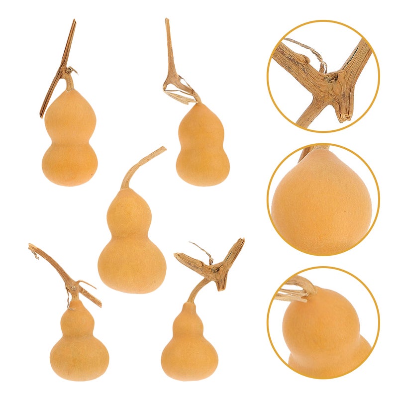 20 Pcs Gourd Ornaments Decors Natural Gourds Adornments( Assorted style) - Image 1