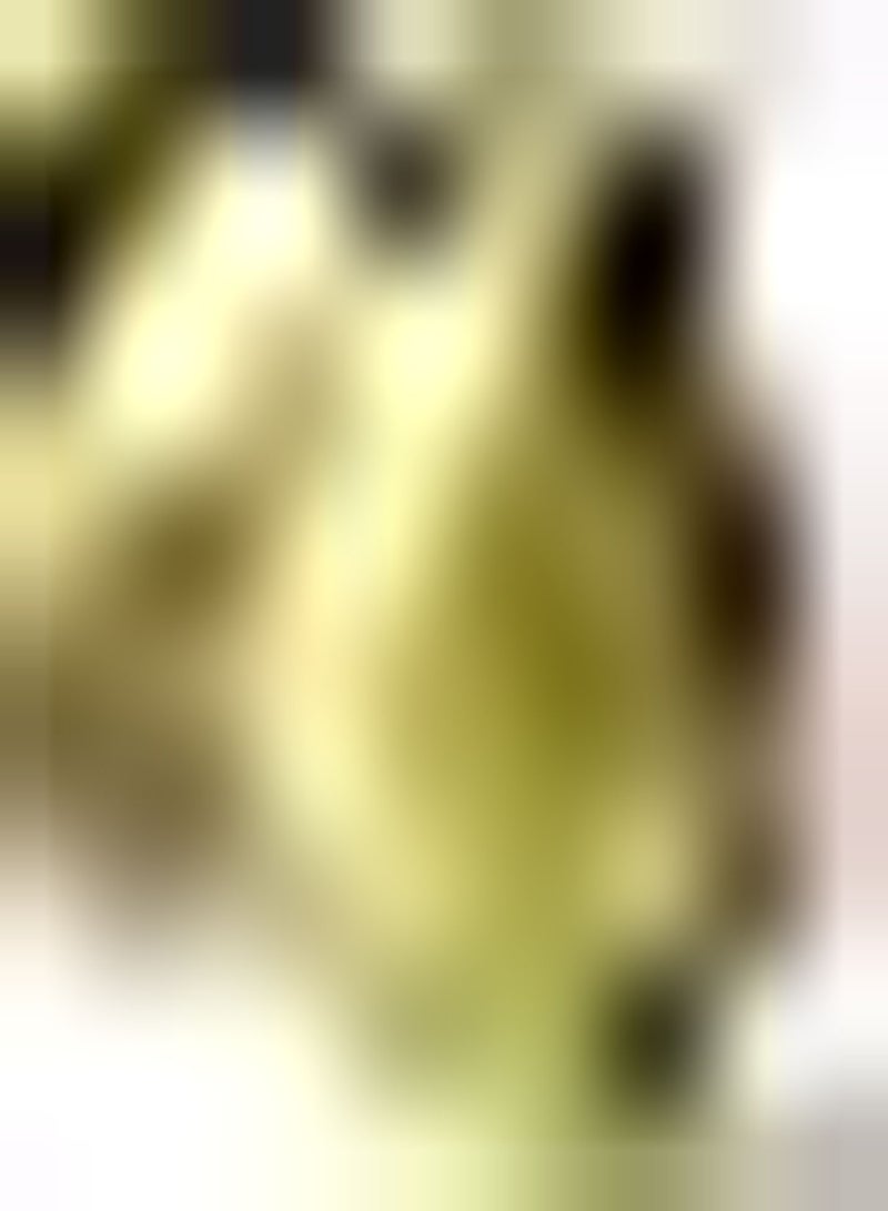 GGOOT 50Stück Birnensamen Reiches Aroma Blühende Birnenbaumsamen Anbaumethode Einfache Gartenfarm Pflanzung Notwendiger Mehrzweck - Image 1