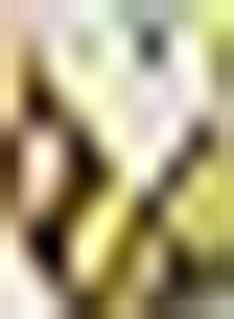 GGOOT 50Stück Birnensamen Reiches Aroma Blühende Birnenbaumsamen Anbaumethode Einfache Gartenfarm Pflanzung Notwendiger Mehrzweck - Image 2