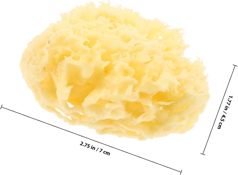 ibasenice Natural Honeycomb Bath Sponge for 2.5-3.0 Inch Decolorized Sea Sponge for Newborns and Soft Exfoliating Body Wash Accessory - Image 2