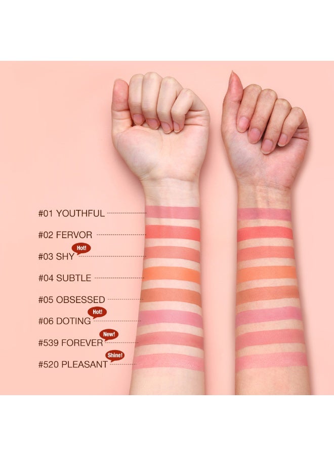 O.TWO.O Blush Stick Glow 05 Obscured - 7g - Image 2