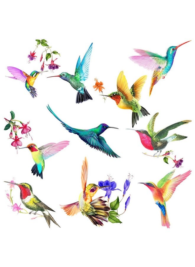 Tevxj 20 Pieces Large Size Hummingbird Window Hummingbird Decals For Window Anti-Collision Window Clings Decals To Prevent Bird Strikes On Window Glass Non Adhesive Vinyl Cling Hummingbird Stickers - Image 1