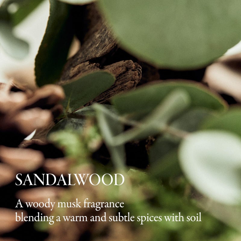 LONGTAKE Solid Perfume - Sandalwood Scentã…£Long Lasting Travel Size Gel Fragrance, Alcohol-Free, Vegan & Sustainable, Cashmere-like Finish, Cologneã…£1.01 fl.oz. - Image 5