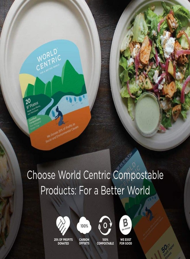 World Centric 100% Compostable Spoons by World Centric, Made from PLA, 6" Ice Cream Spoons (Pack of 1000) - Image 2