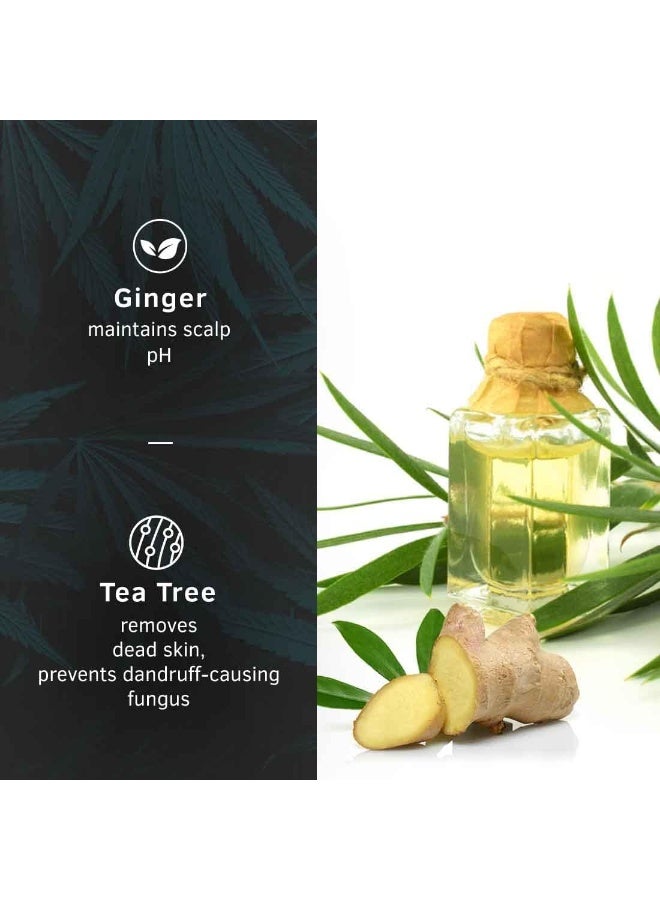 Ustraa Hair Serum Anti-Dandruff 200ml | Tea Tree & Ginger | Maintains Scalp pH | No Sulphates, No Parabens | Fights Dandruff from First Use | Oil-Free Protection for All Hair Types - Image 3