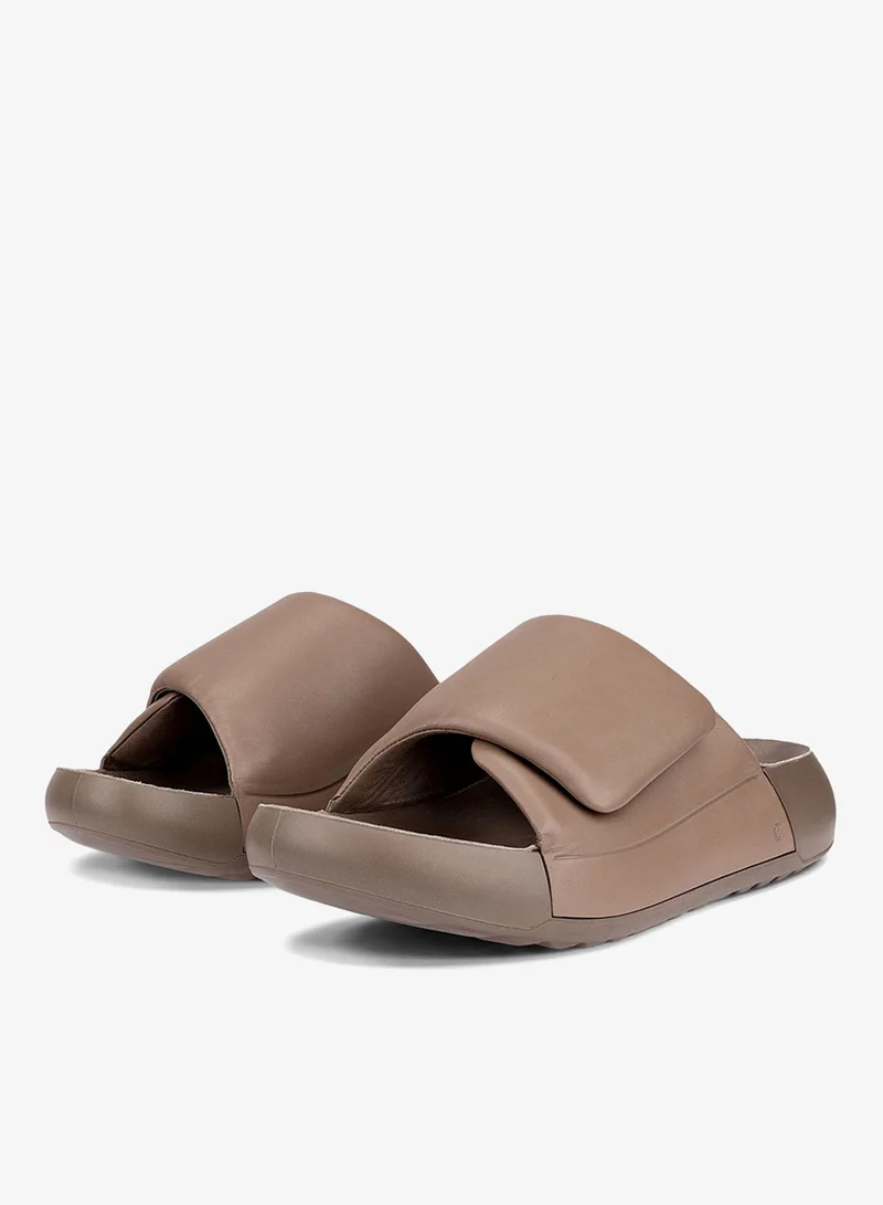 إيكو إيكو كوزمو بي إف دبليو تاوب