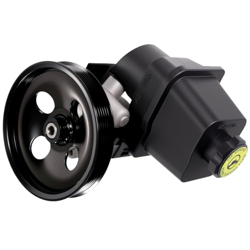 Daysyore Power Steering Pump 2065990 Fits for 20042007 Rainier I6 42L 20022009 TrailblazerEnvoy I6 42L 20052009 Saab 97x Petrol Sport Utility Replace OE 5029778 15087916 26089214