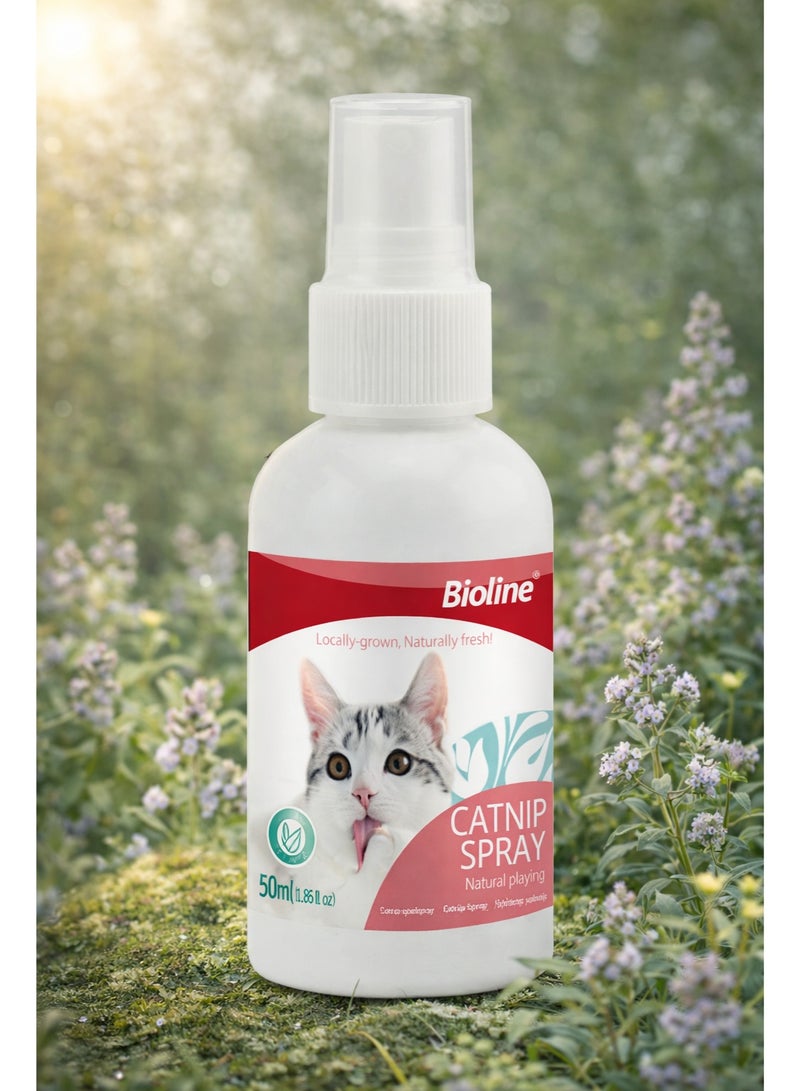 Catnip Spray for Cats 50ml – Natural Concentrated Catnip Oil Mist, Stimulates Playful Behavior, Relieves Stress, and Encourages Exercise for Indoor Kittens and Adult Cats