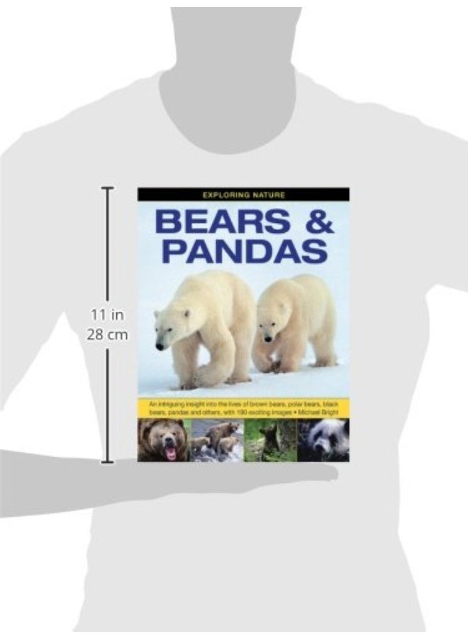 Exploring Nature: Bears & Pandas: An Intriguing Insight into the Lives of Brown Bears, Polar Bears, Black Bears, Pandas and Others, with 190 Exciting Images  - Image 3